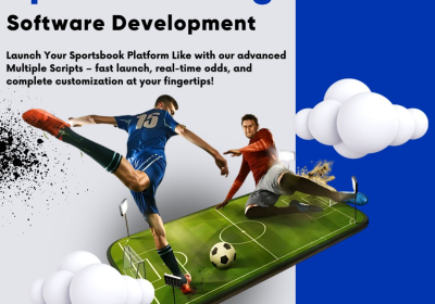 sports-betting-software-development-25-11-2025-3